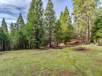 25630 Overland Dr, Volcano, CA 95689 Photo