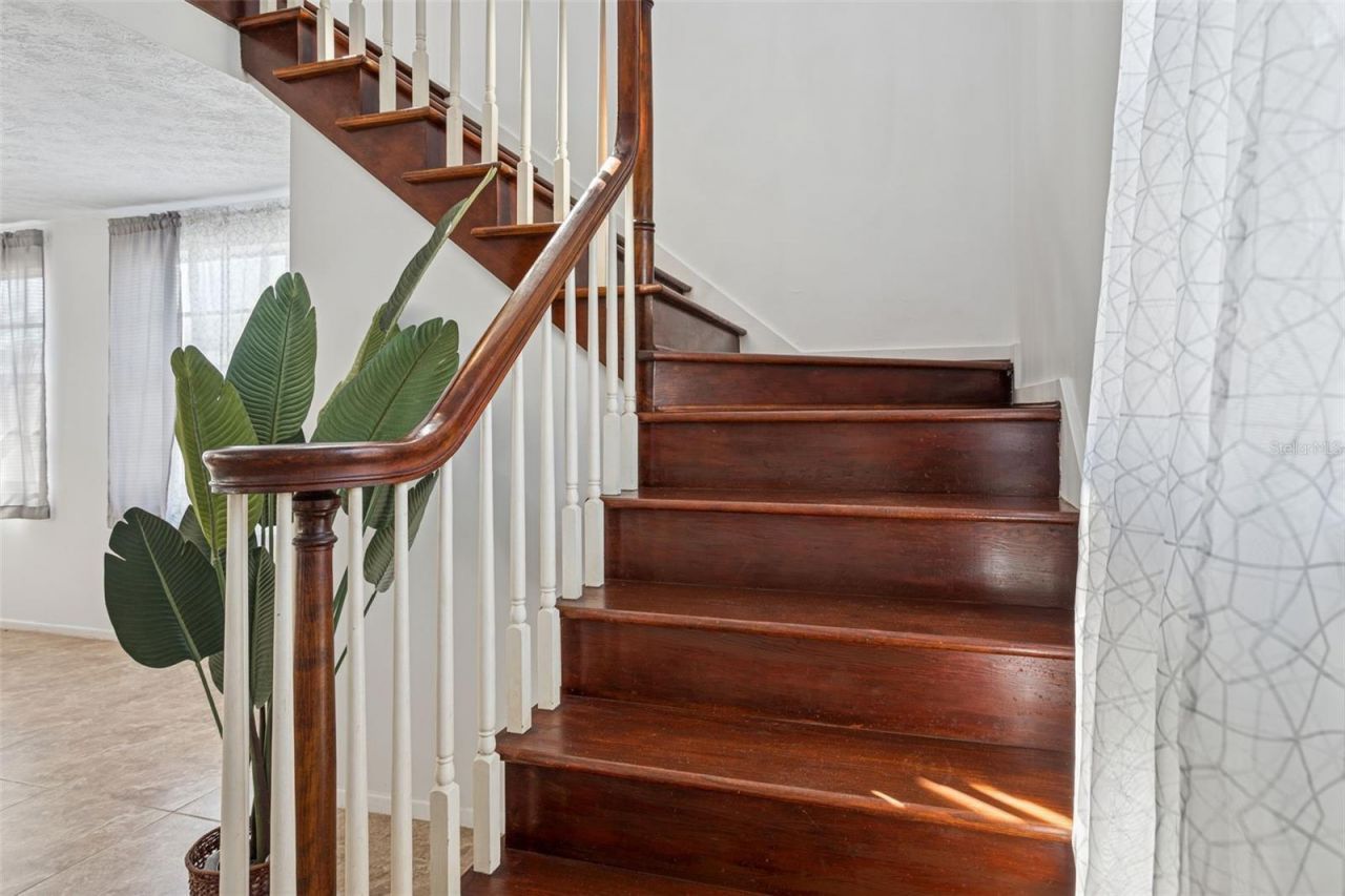 8105 Alpine Avenue, Tampa, FL 33619 Photo