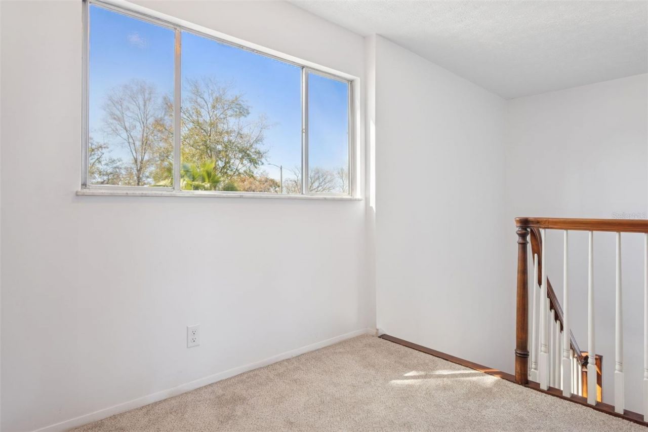 8105 Alpine Avenue, Tampa, FL 33619 Photo