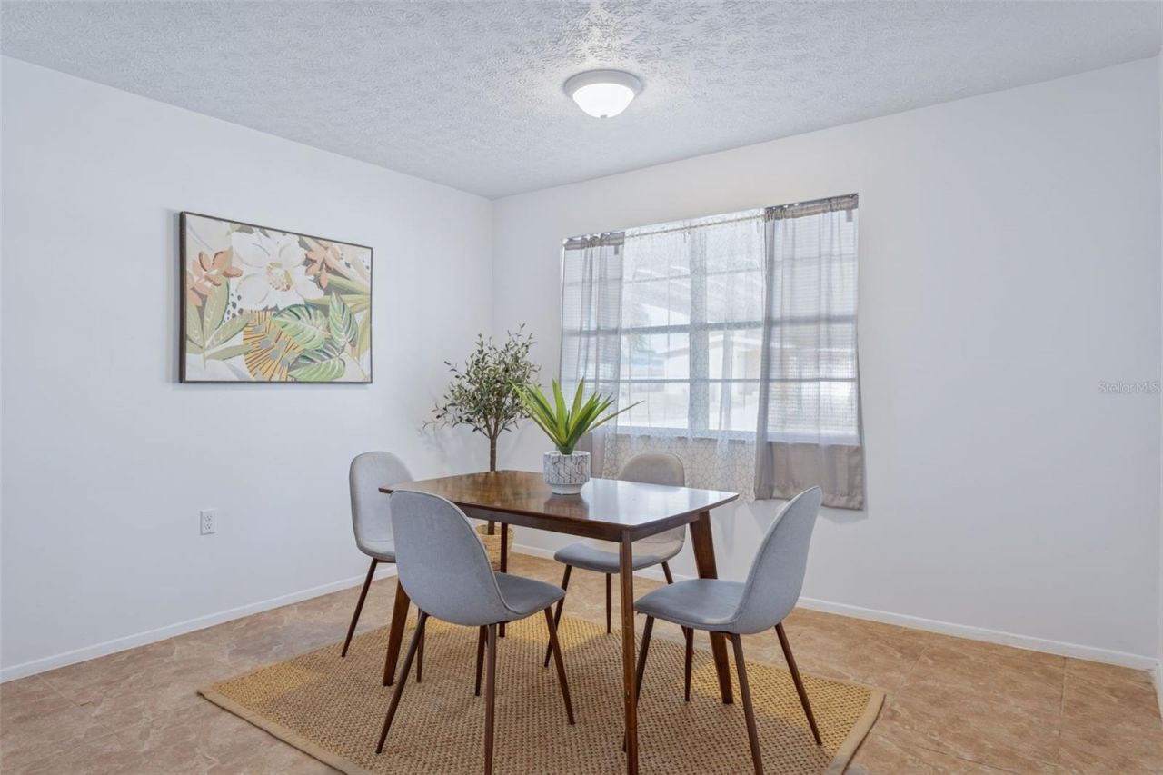 8105 Alpine Avenue, Tampa, FL 33619 Photo