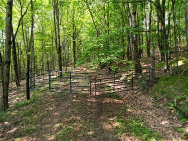 0 Red Kill Road, Fleischmanns, NY 12430