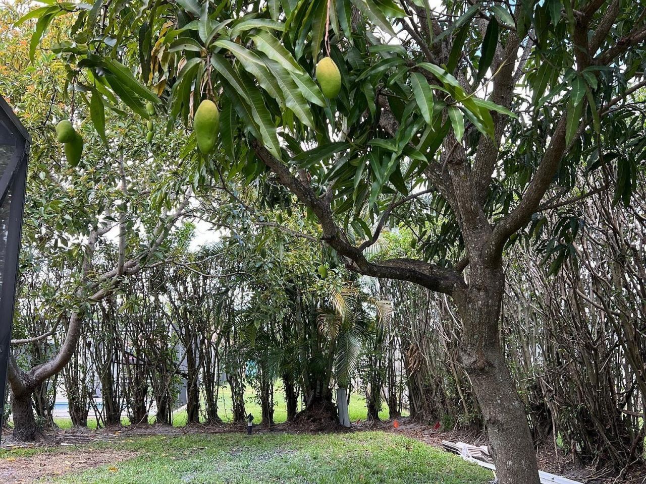 1250 SW 15th Avenue, Unit 1250, Boca Raton, FL 33486 Photo