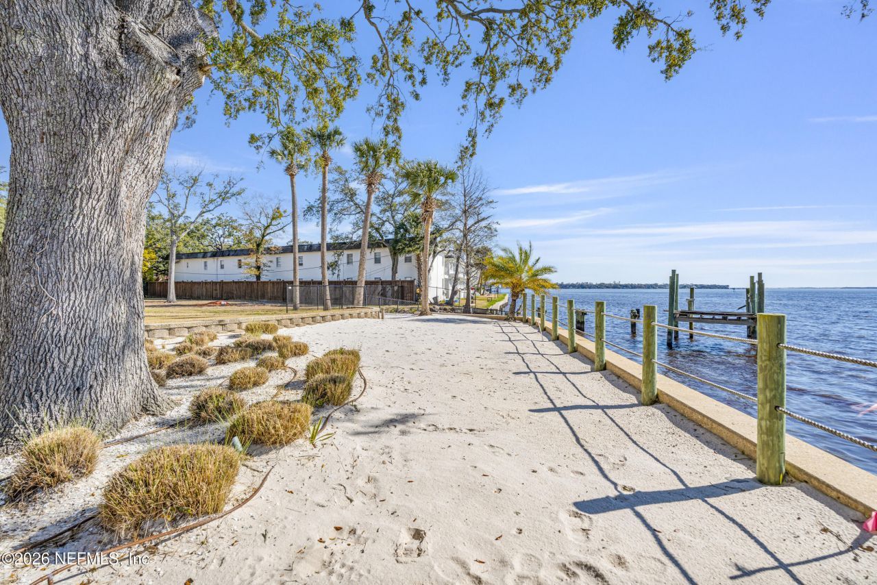 1616 River Road, Unit 102, Jacksonville, FL 32207 Photo