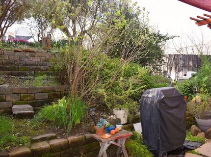 126 Center St, Jackson, CA 95642 Photo