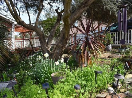 126 Center St, Jackson, CA 95642 Photo