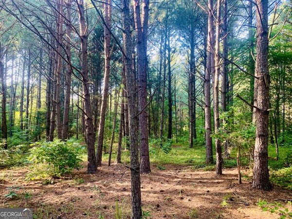 0 Pedenville Road, Concord, GA 30206