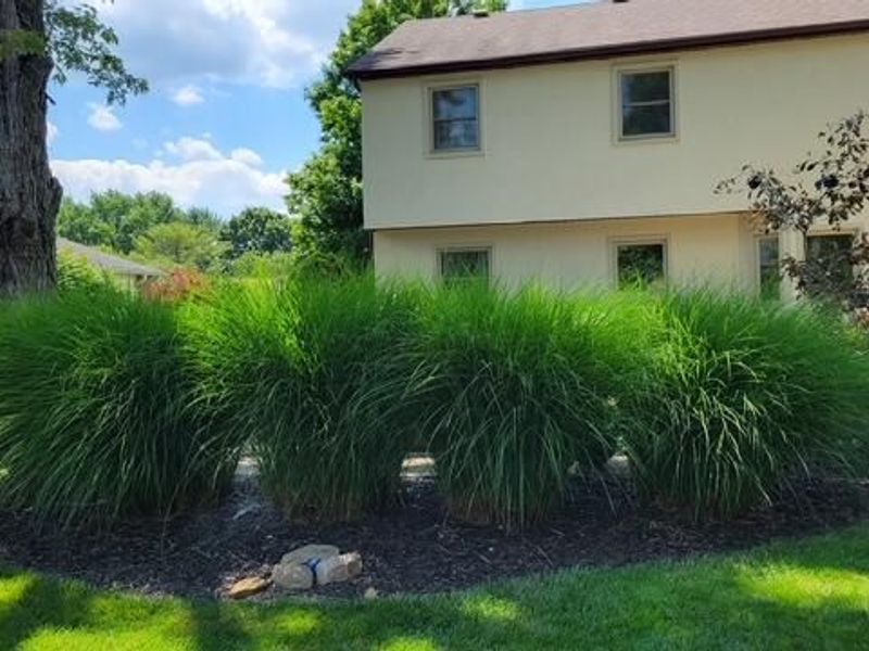 12200 Raintree Avenue, Pickerington, OH 43147 Photo 48