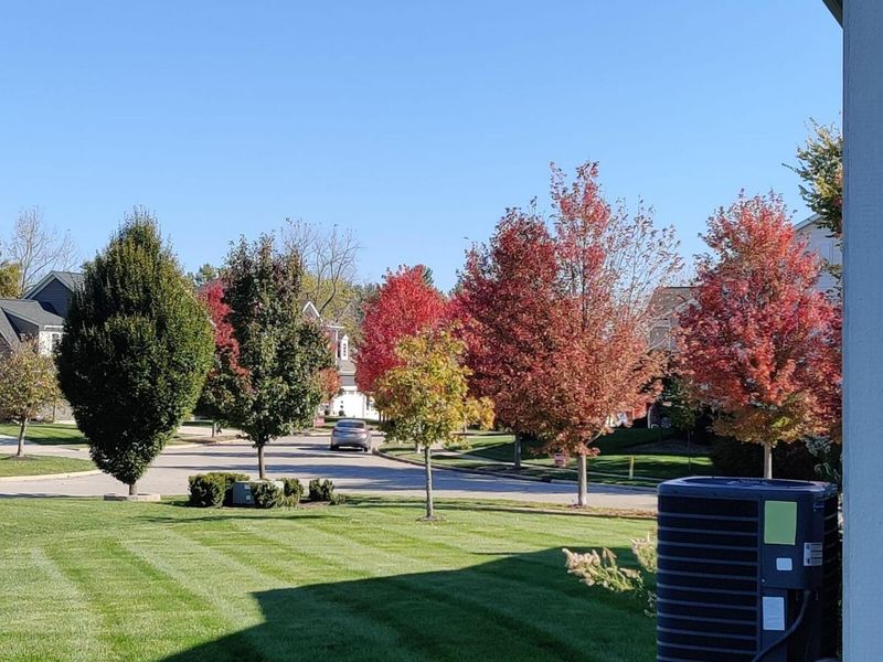 9616 Arrowwood Drive, Plain City, OH 43064 Photo 86