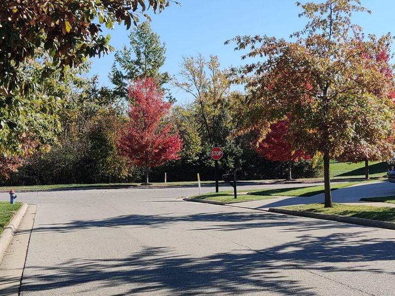 9616 Arrowwood Drive, Plain City, OH 43064 Photo 96