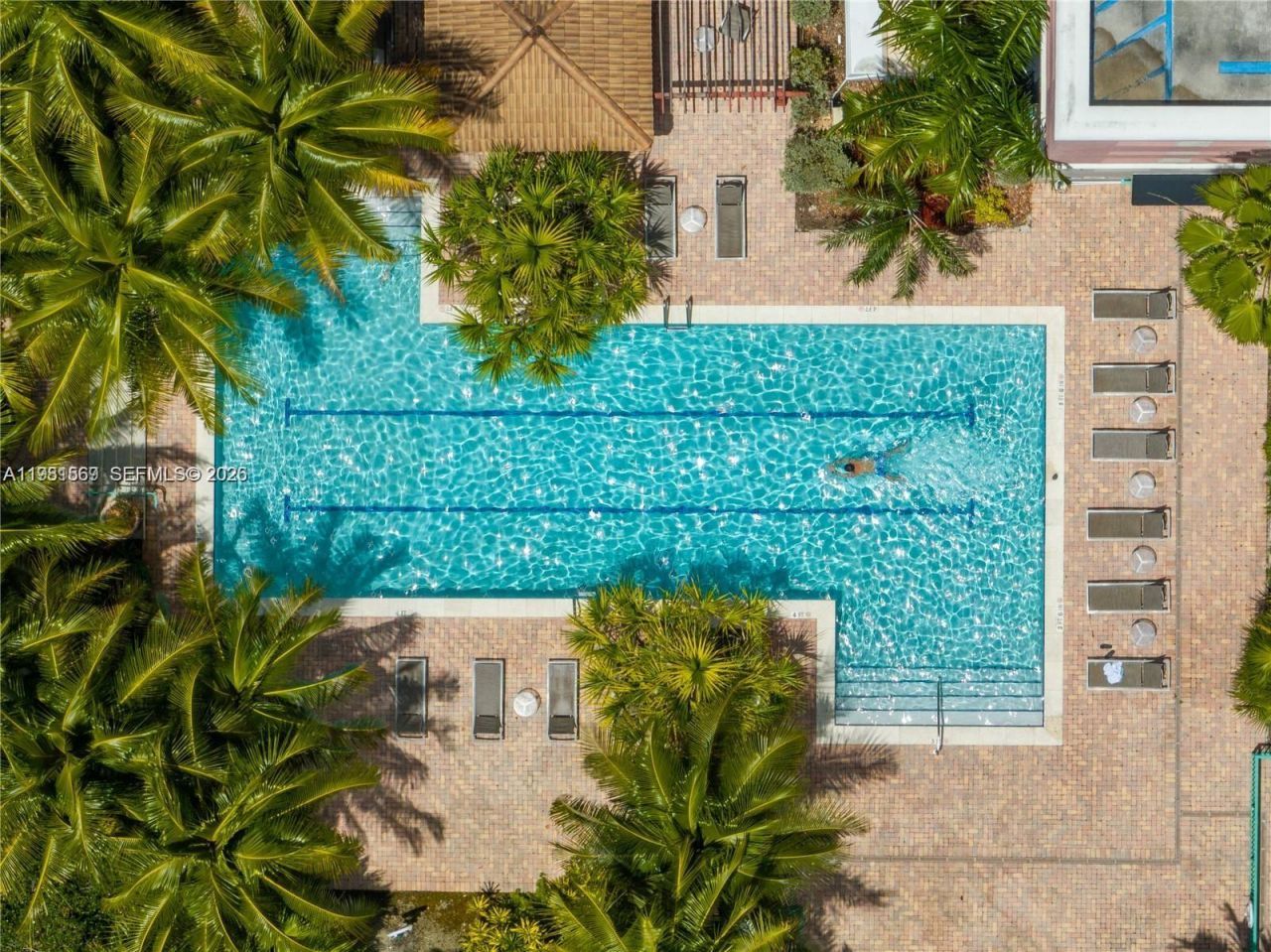 6001 SW 70th St, Unit 130, South Miami, FL 33143 Photo