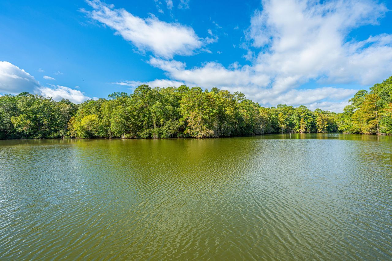 1075 Chapel Branch Road Photo 4