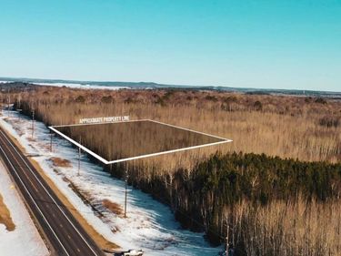 TBD Parcel 18 Hwy 115 , Tower, MN 55790