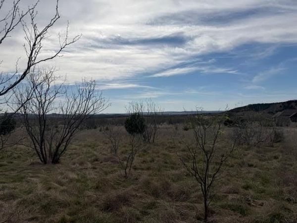 1160 Prairie Falcon Court, Graford, TX 76449
