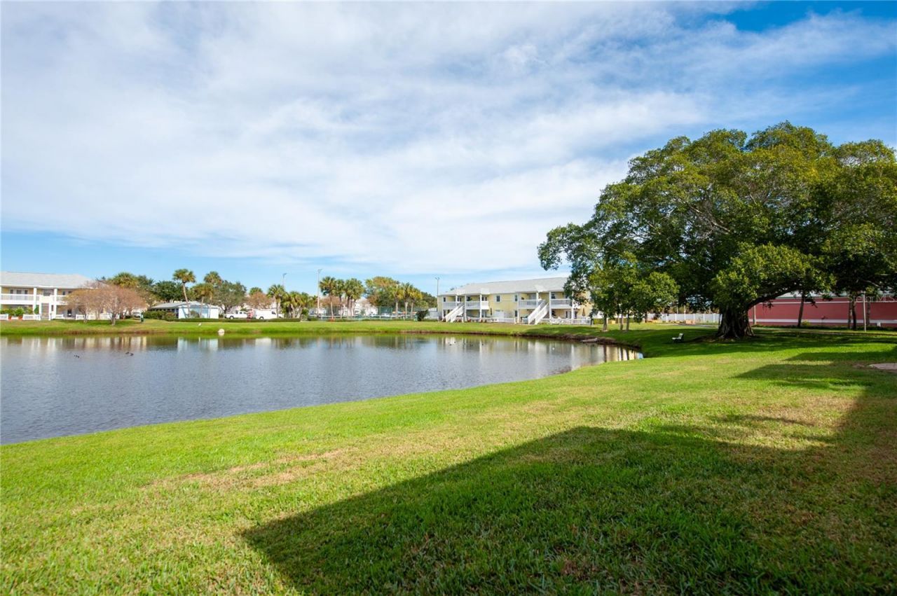 237 Seahorse Drive Se, Unit H, Saint Petersburg, FL 33705 Photo