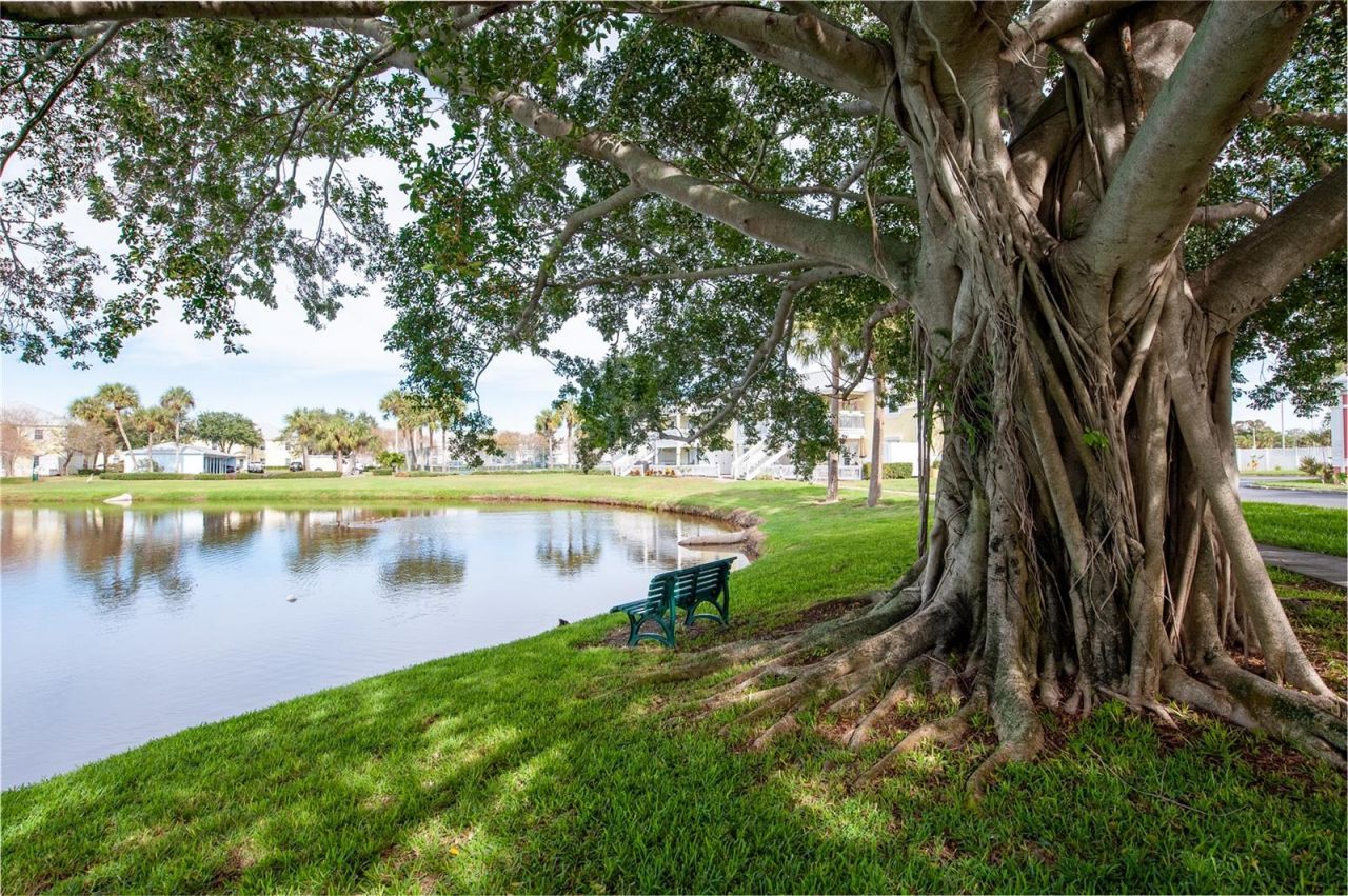 237 Seahorse Drive Se, Unit H, Saint Petersburg, FL 33705 Photo