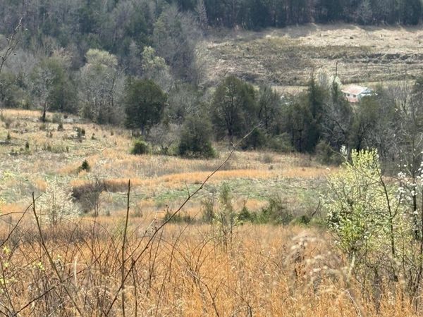 00 Cantwell Valley Rd, Sneedville, TN 37869