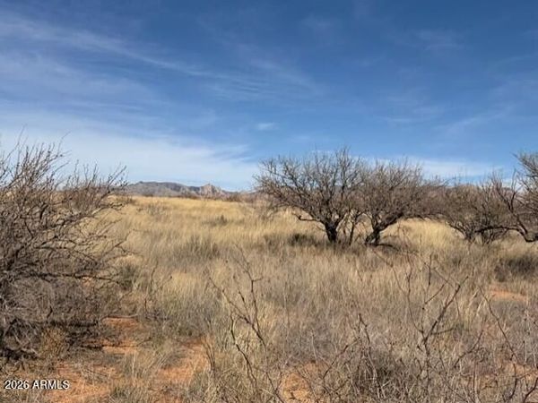 TBD S Cochise Trail, Unit 94, Saint David, AZ 85630