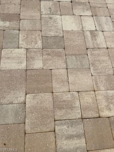 5222 Pineland Daisy Trl, Fort Myers, FL 33905 Photo