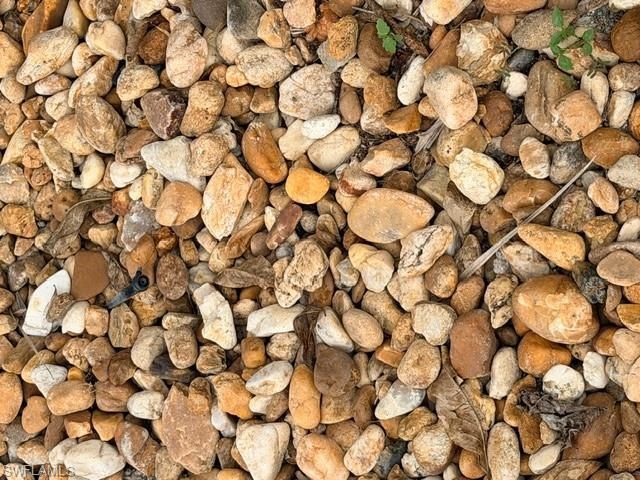 5222 Pineland Daisy Trl, Fort Myers, FL 33905 Photo