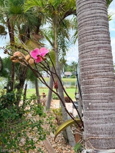 5222 Pineland Daisy Trl, Fort Myers, FL 33905 Photo