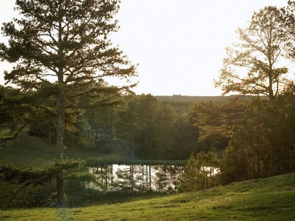 5871 Hwy 278, Haleyville, AL