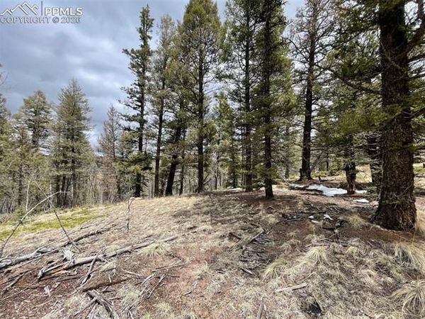 228 Alpine Drive, Florissant, CO 80816