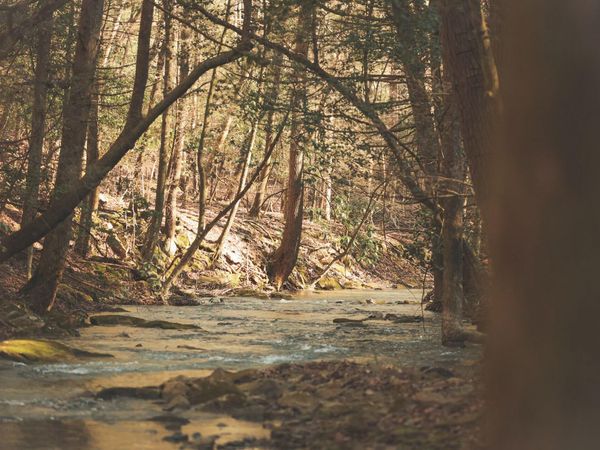 12733 Jones Gap Road, Soddy Daisy, TN 37379