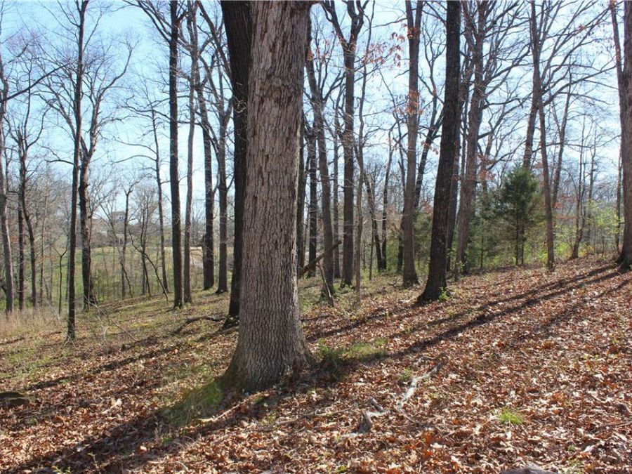Property Image 18