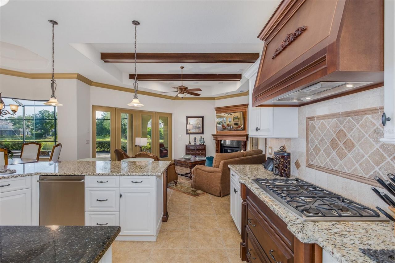 10435 Pontofino Circle, Trinity, FL 34655 Photo