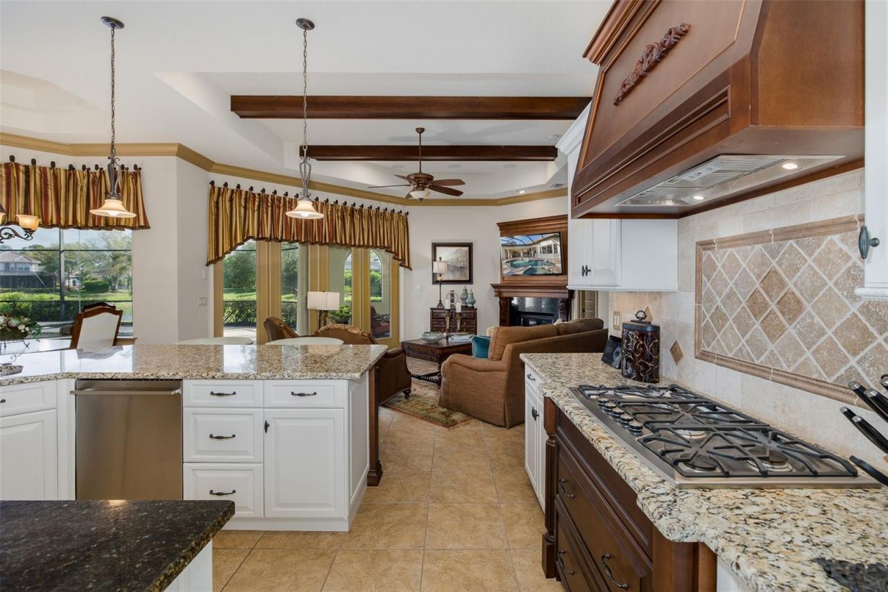 10435 Pontofino Circle, Trinity, FL 34655 Photo