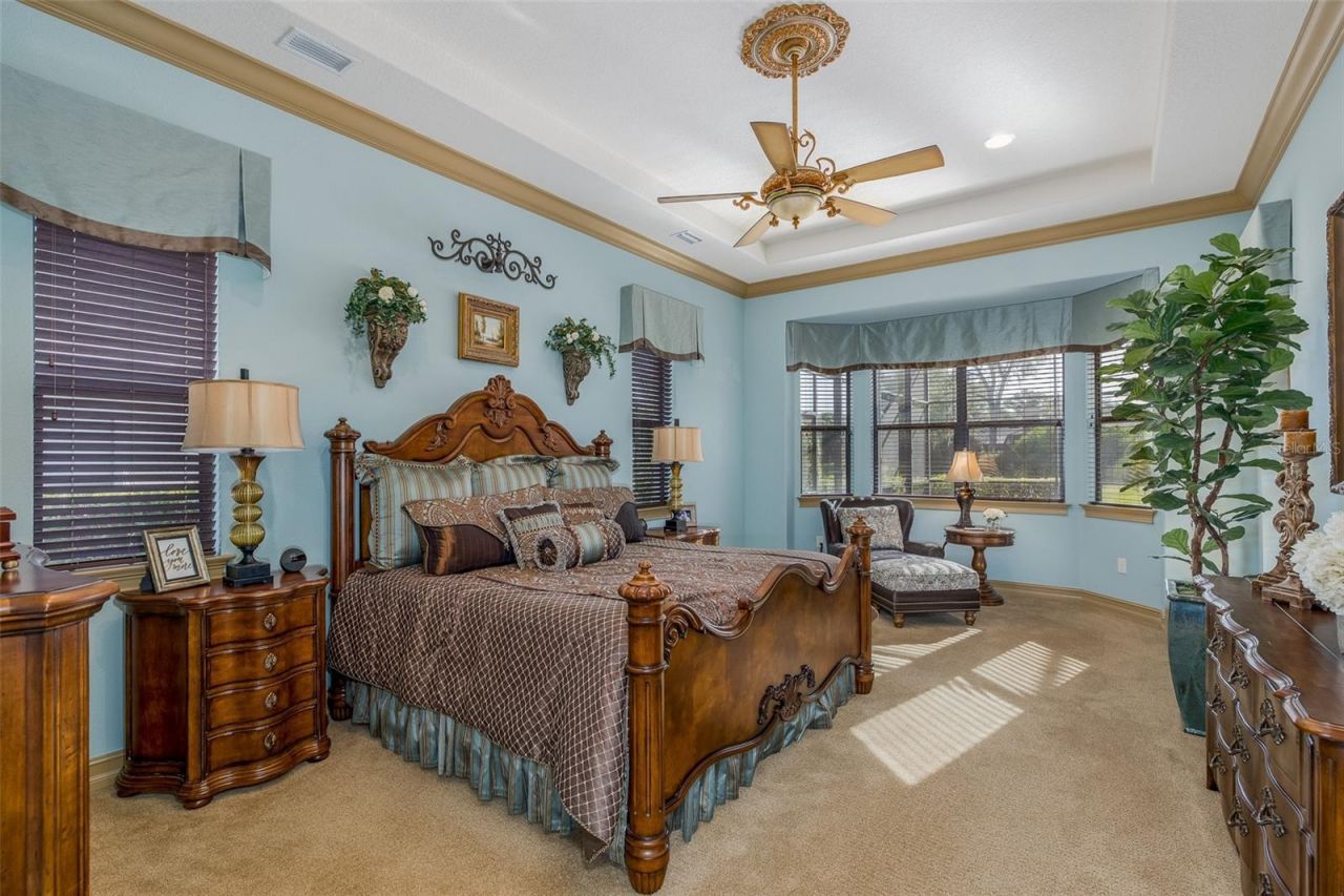 10435 Pontofino Circle, Trinity, FL 34655 Photo