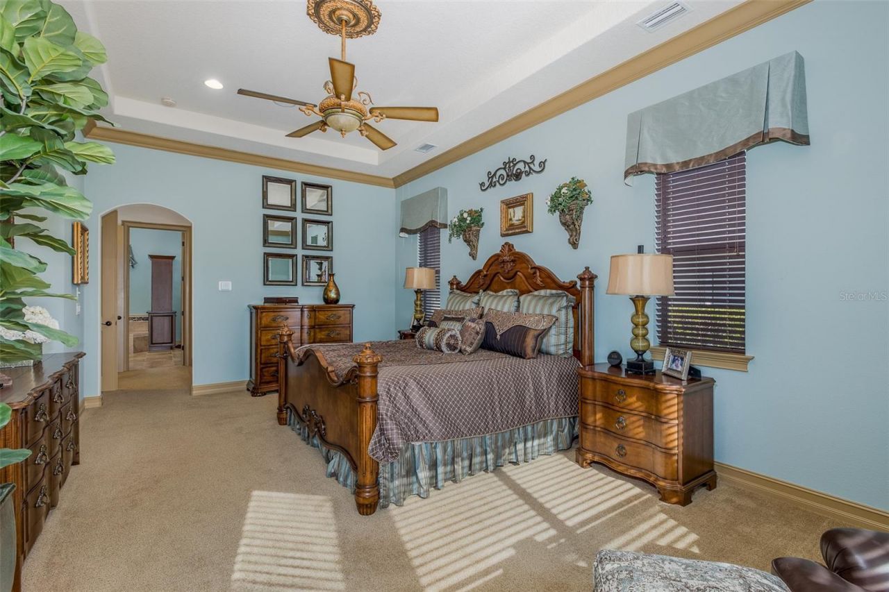 10435 Pontofino Circle, Trinity, FL 34655 Photo