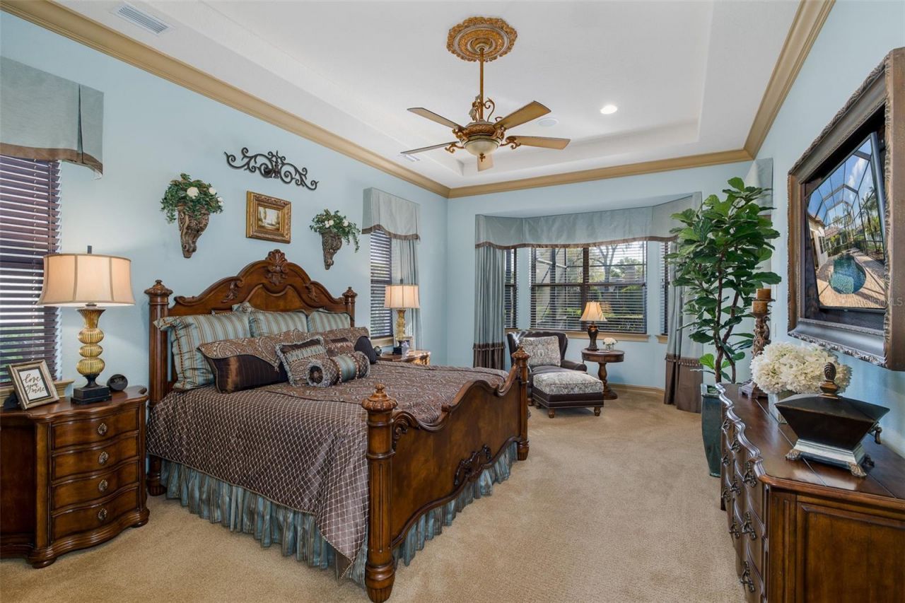 10435 Pontofino Circle, Trinity, FL 34655 Photo