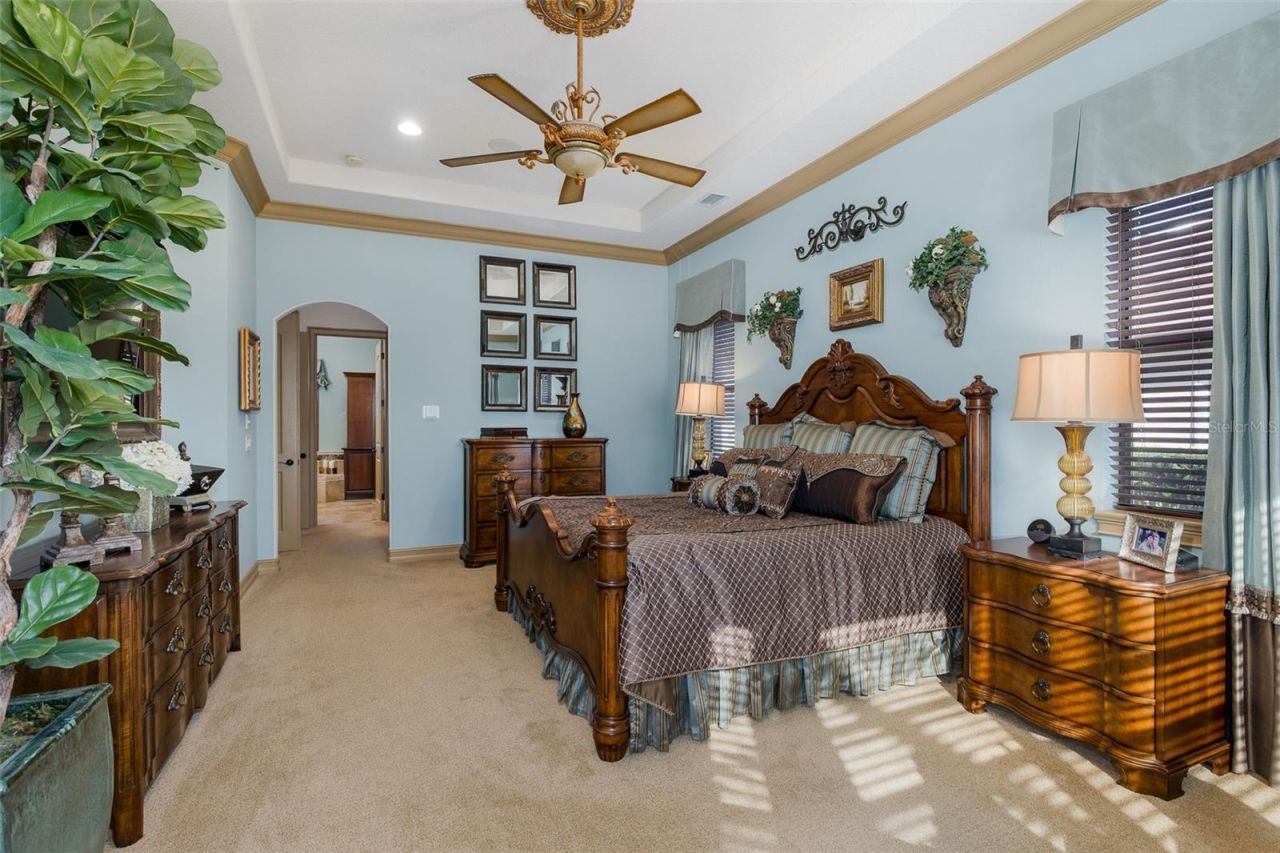 10435 Pontofino Circle, Trinity, FL 34655 Photo