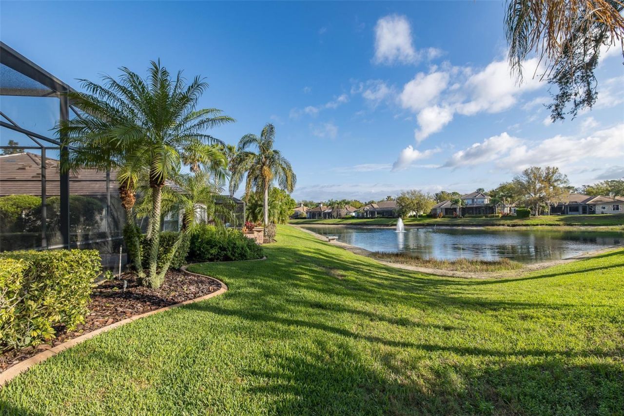 10435 Pontofino Circle, Trinity, FL 34655 Photo