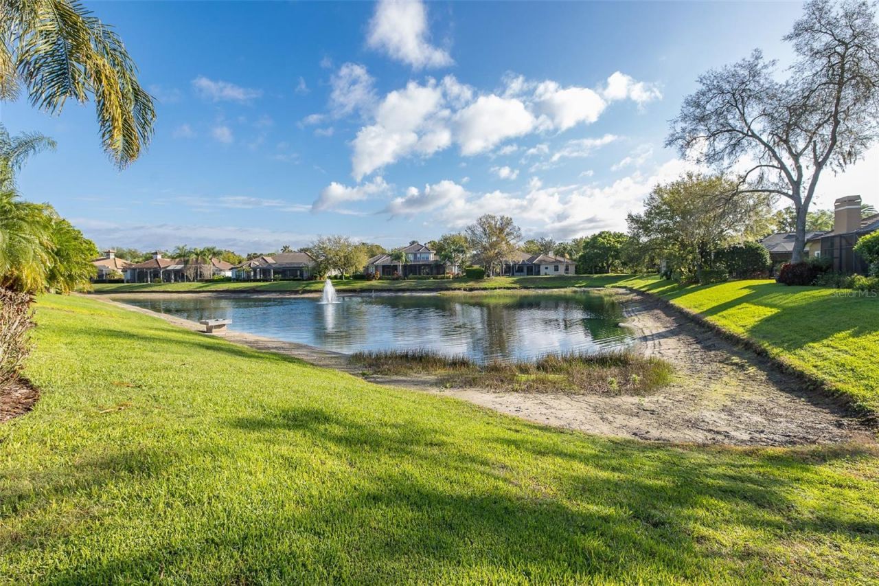 10435 Pontofino Circle, Trinity, FL 34655 Photo