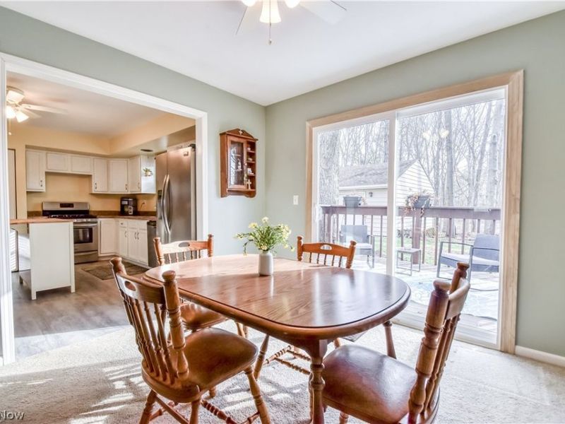 9925 Aldridge Drive, Columbia Station, OH 44028 Photo 10