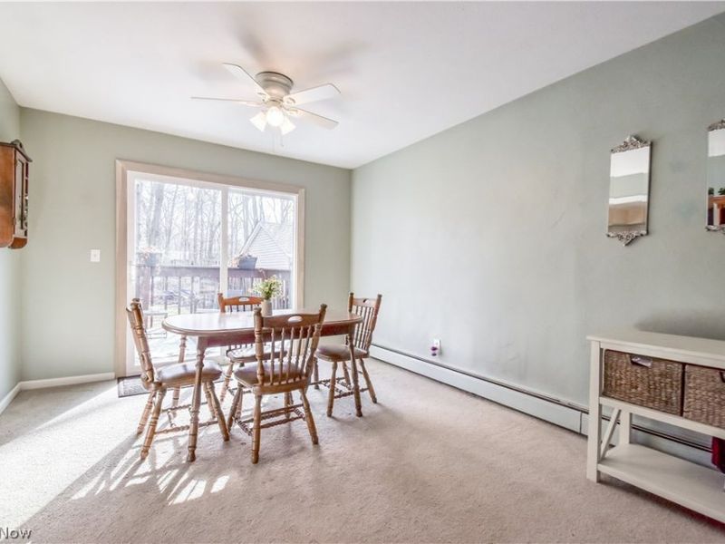 9925 Aldridge Drive, Columbia Station, OH 44028 Photo 12