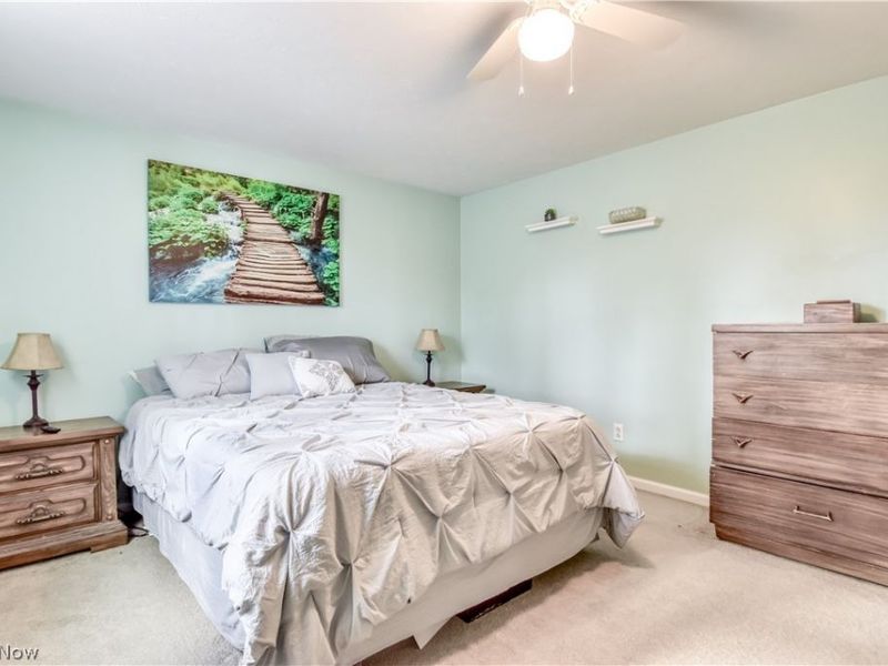 9925 Aldridge Drive, Columbia Station, OH 44028 Photo 17