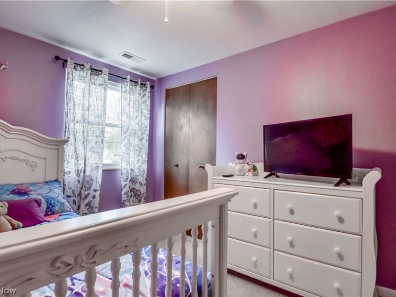 9925 Aldridge Drive, Columbia Station, OH 44028 Photo 22