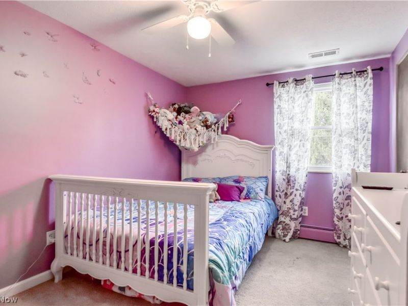 9925 Aldridge Drive, Columbia Station, OH 44028 Photo 24