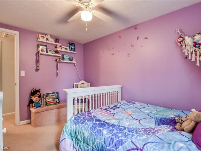 9925 Aldridge Drive, Columbia Station, OH 44028 Photo 25