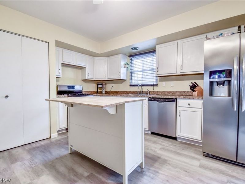 9925 Aldridge Drive, Columbia Station, OH 44028 Photo 3