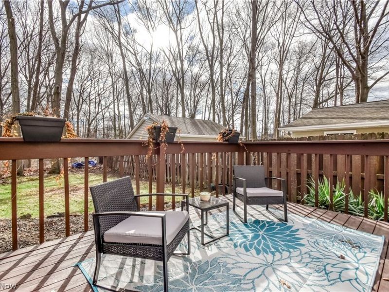 9925 Aldridge Drive, Columbia Station, OH 44028 Photo 32