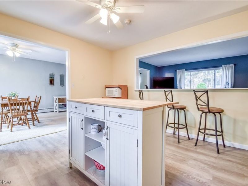 9925 Aldridge Drive, Columbia Station, OH 44028 Photo 4