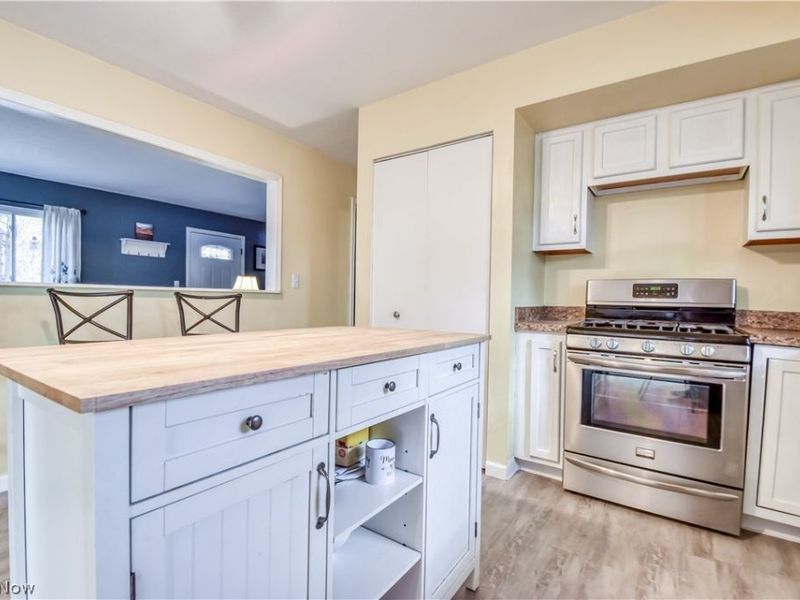 9925 Aldridge Drive, Columbia Station, OH 44028 Photo 5