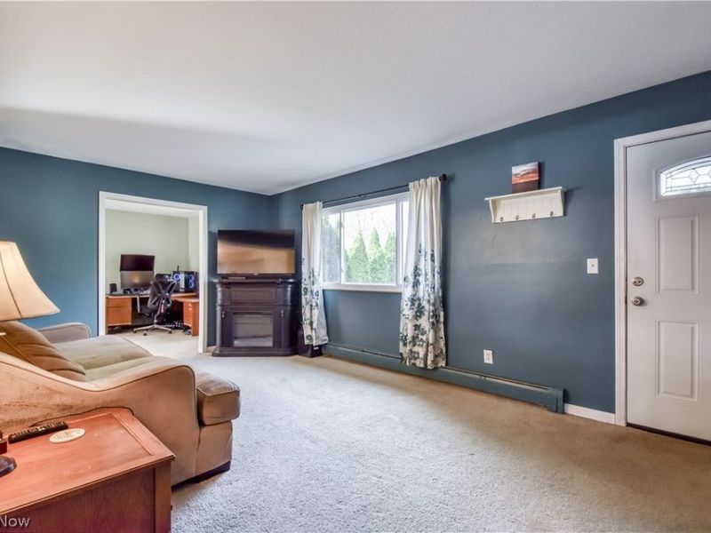 9925 Aldridge Drive, Columbia Station, OH 44028 Photo 6