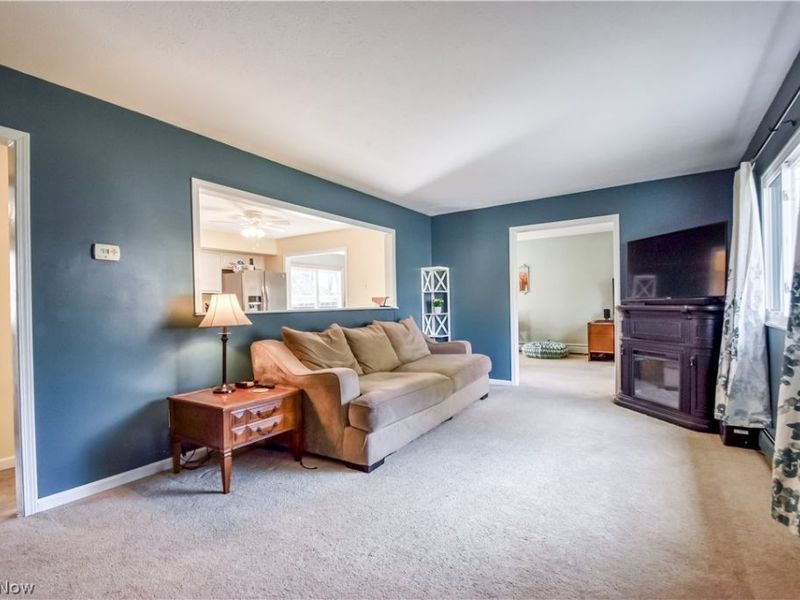 9925 Aldridge Drive, Columbia Station, OH 44028 Photo 7