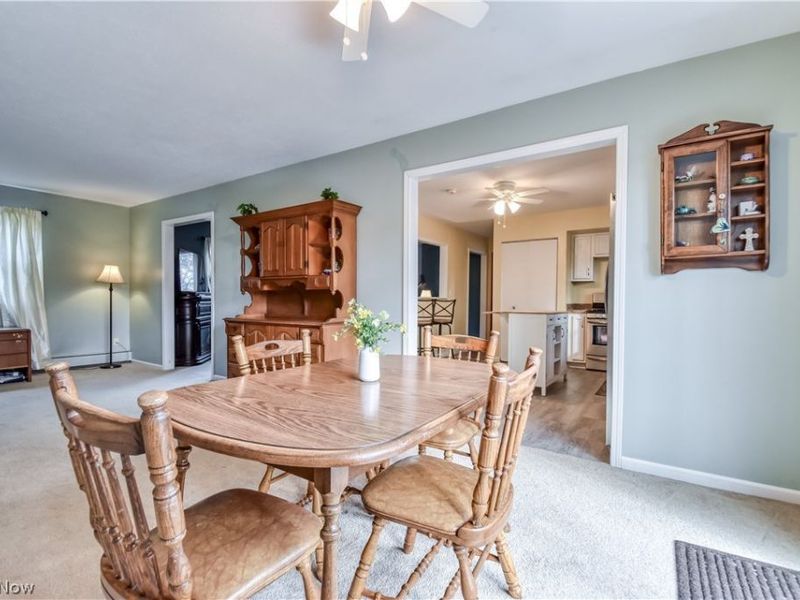 9925 Aldridge Drive, Columbia Station, OH 44028 Photo 9