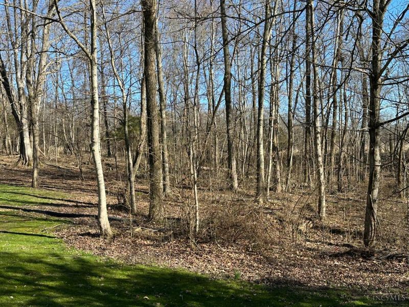 3960 Rapid Forge Road, Bainbridge, OH 45612 Photo 11